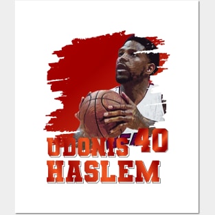 Udonis Haslem | 40 Posters and Art